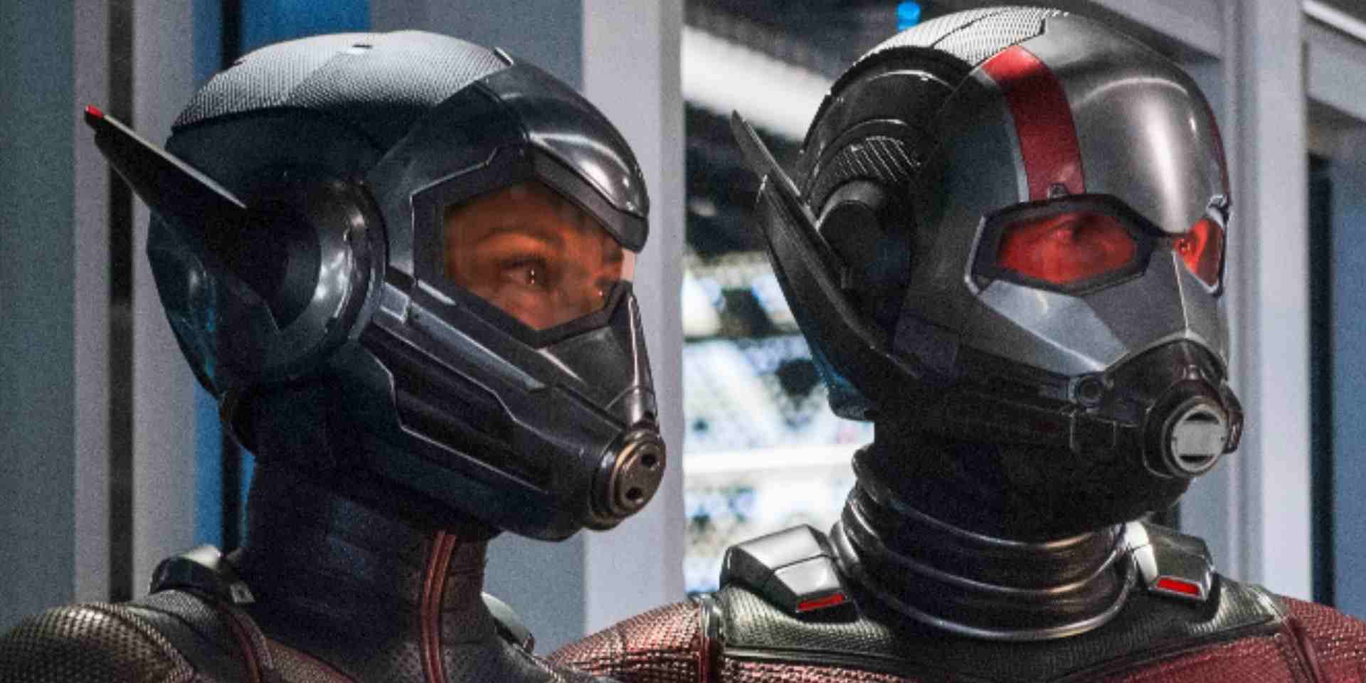 Ant Man and the Wasp e1525248815146