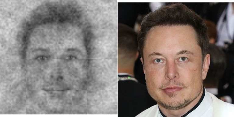 god musk 1528895528