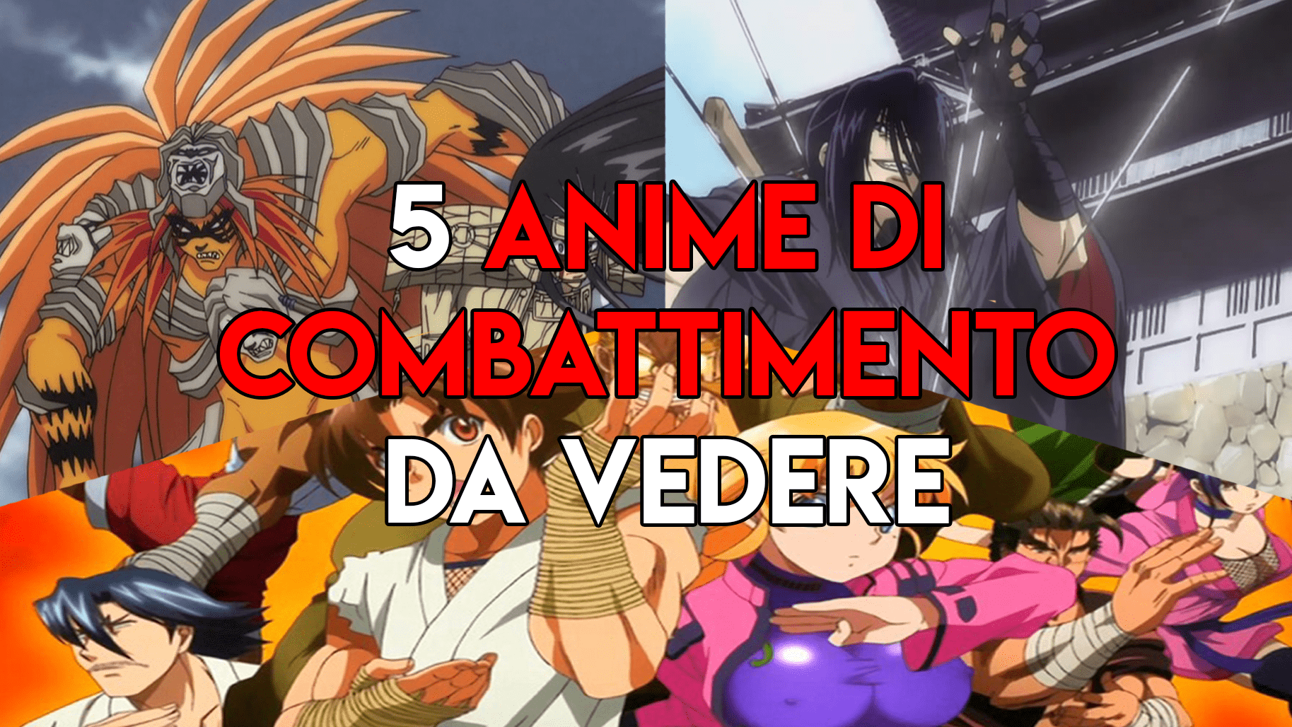 anime da combattimento