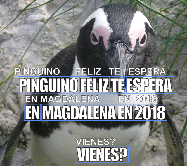 CodeBlog penguin spanish