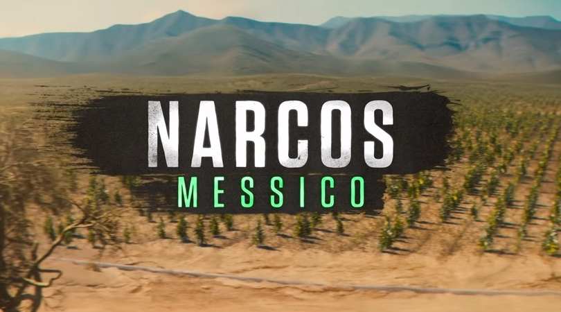 narcos messico