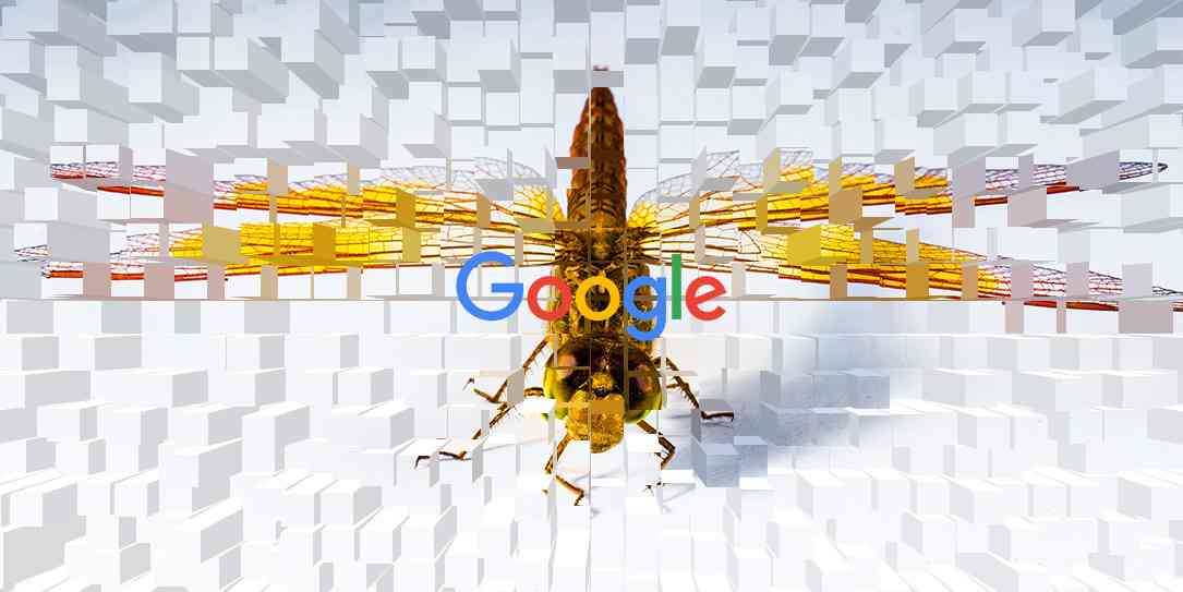 Google Employees Project Dragonfly