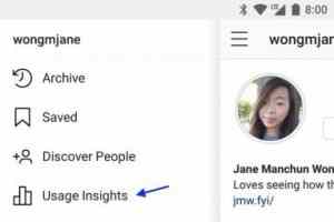 Instagram Usage Insights Menu