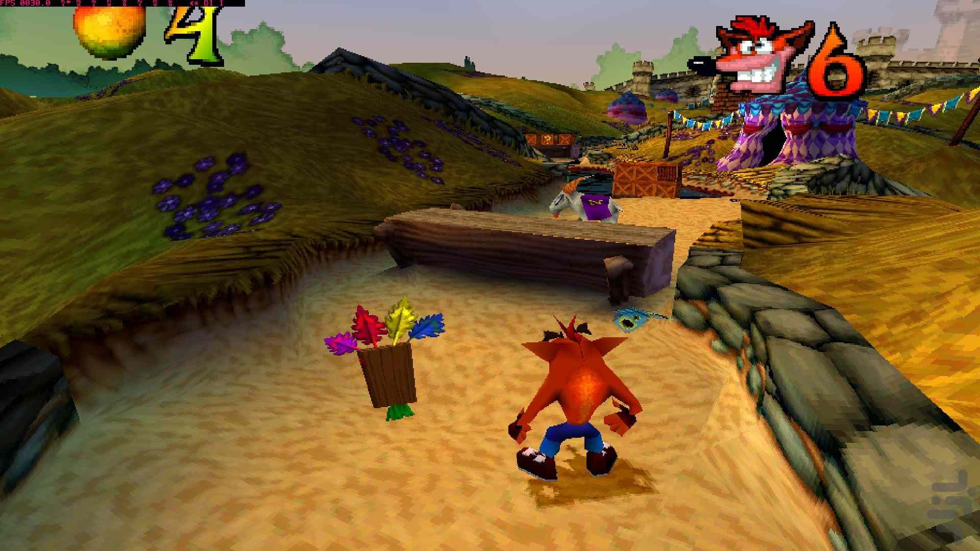 Crash Bandicoot