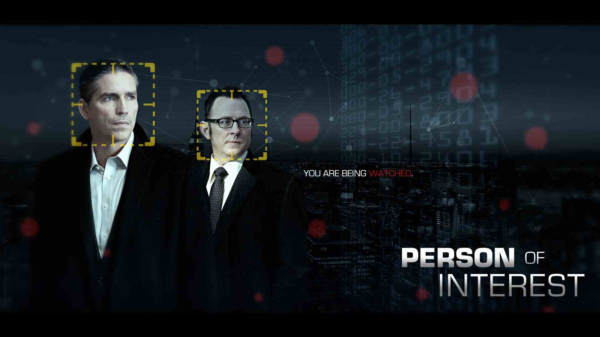 Person Of Interest