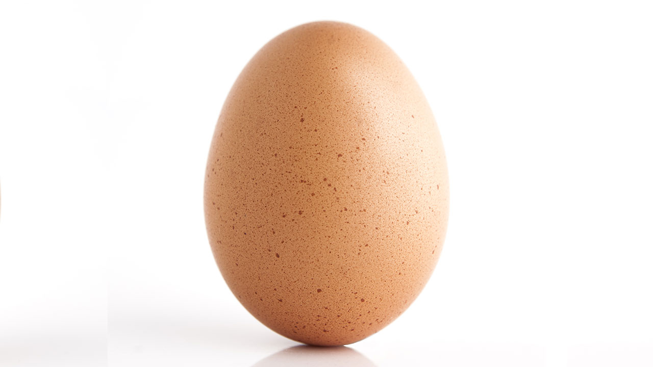 011419 cc ss egg img
