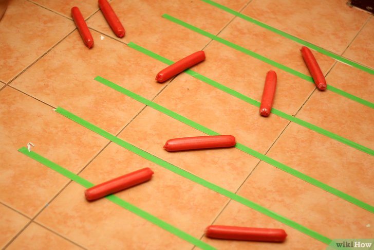 v4 728px Calculate Pi by Throwing Frozen Hot Dogs Step 7