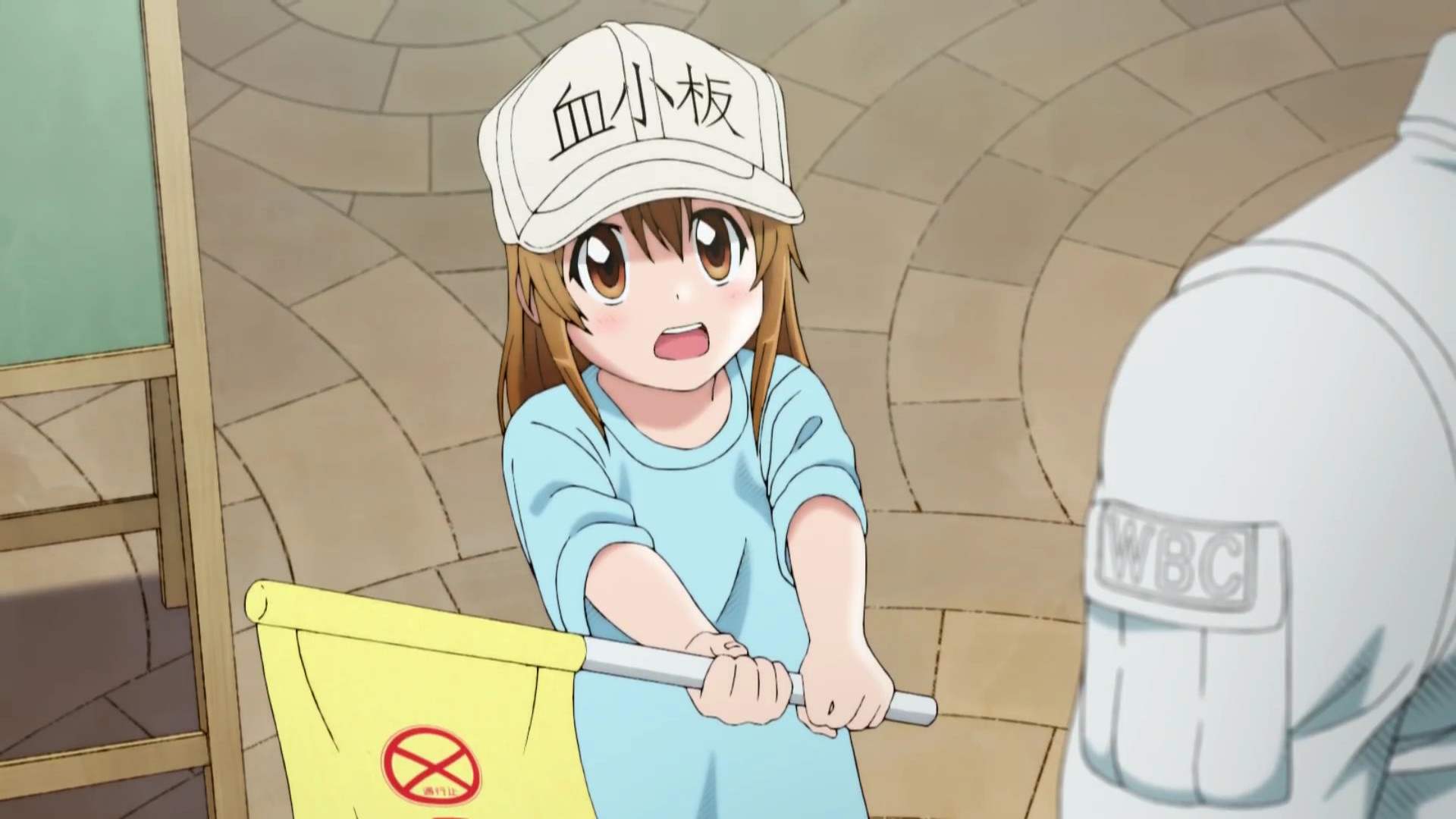 Клетки за работой. Hataraku Saibou тромбоцит. Hataraku Saibou тромбоцит кадры из аниме. Клетки за работой тромбоциты аниме. Аниме Hataraku Saibou Platelet.