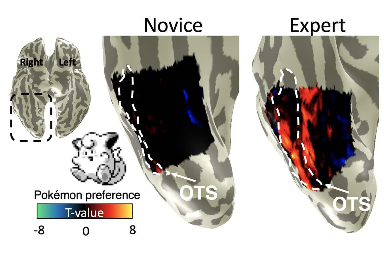 expert novice min