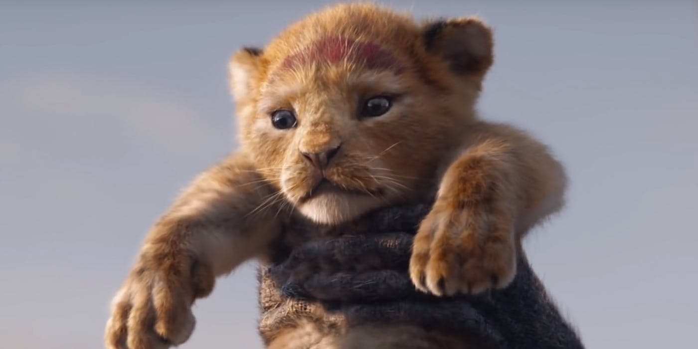 Simba in The Lion King 2019 Remake