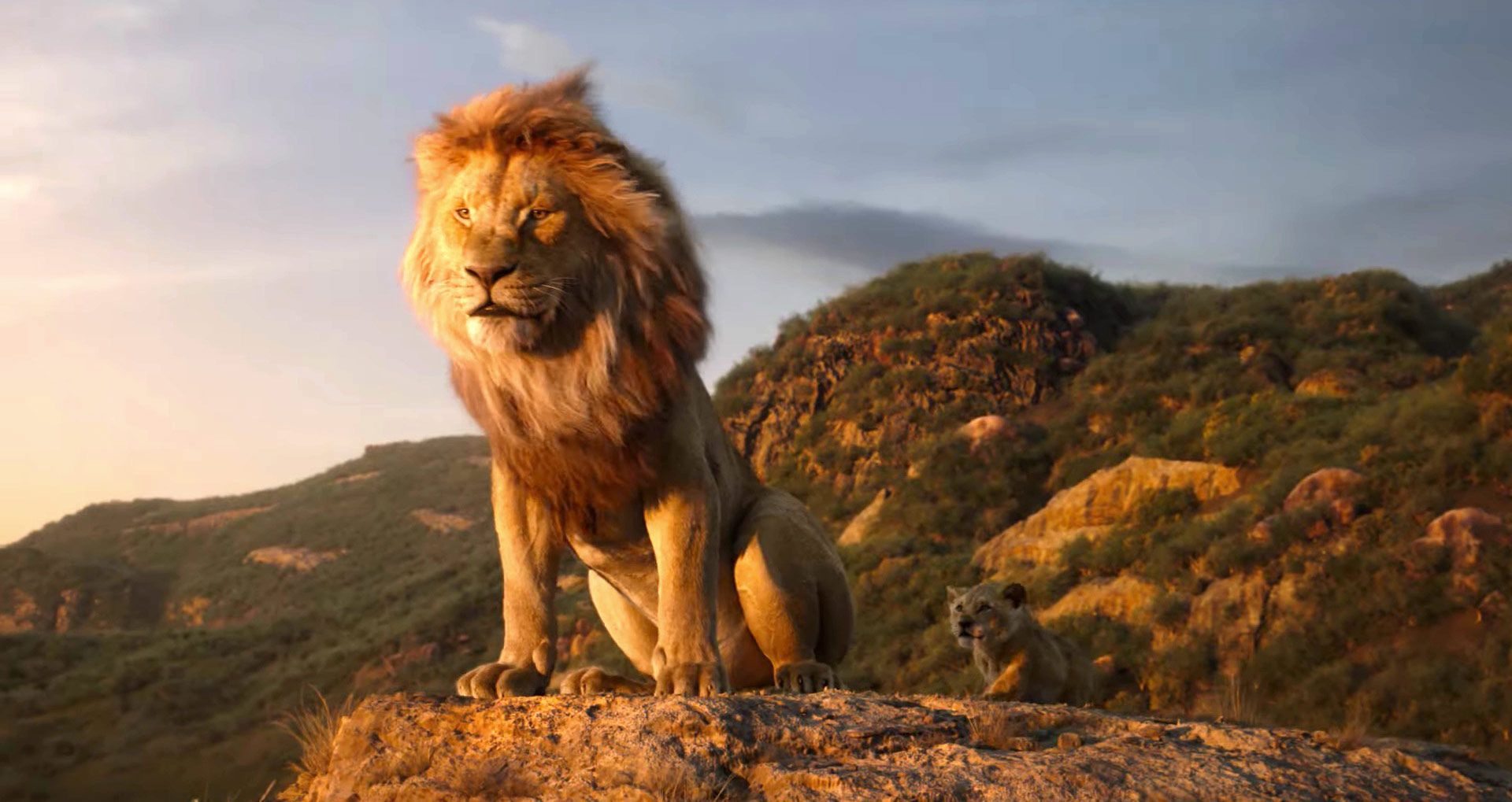 the lion king mufasa simba 1554901700