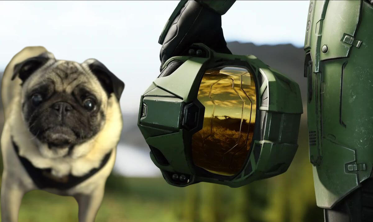 halo infinite gyoza pug sound design