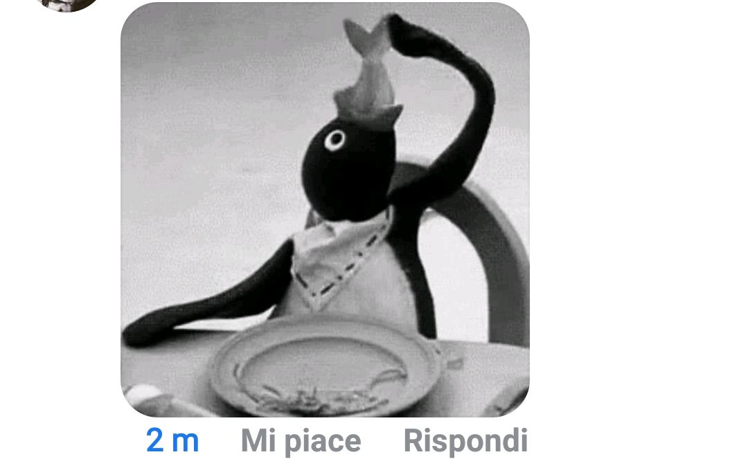 Pingu