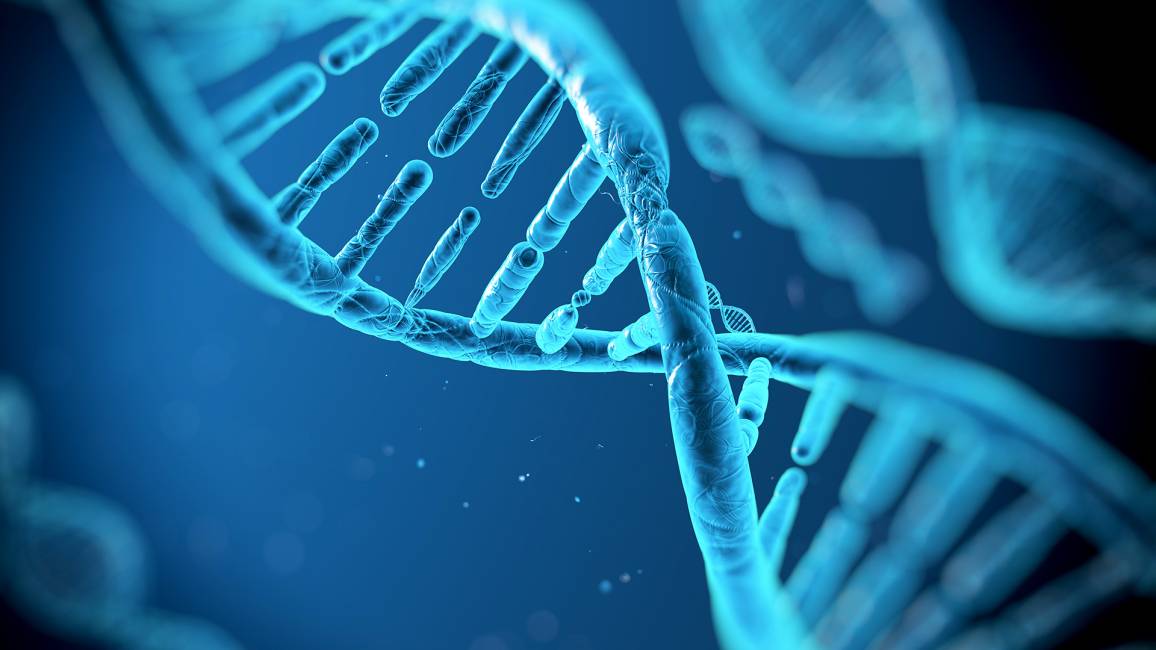 DNA