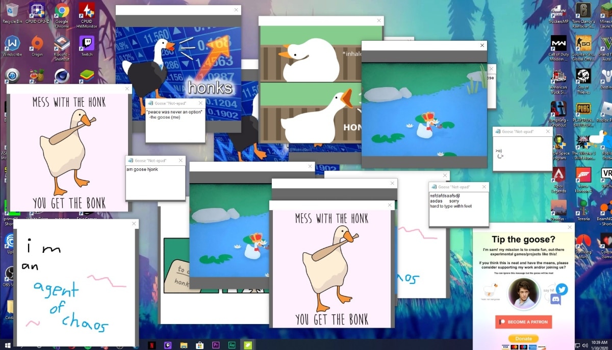 Desktop Goose