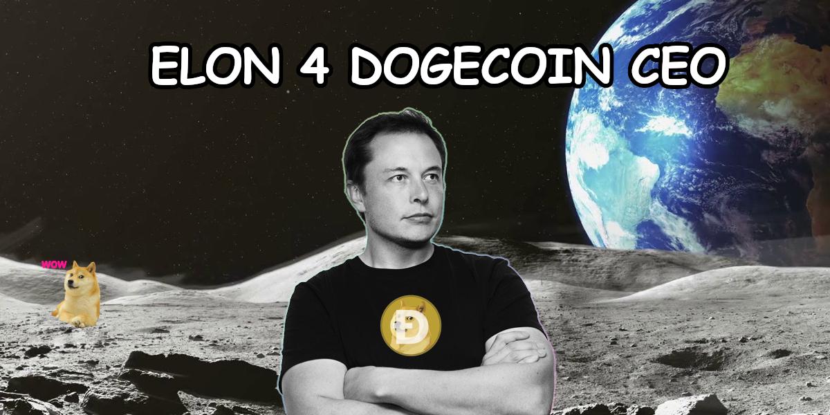 Elon Musk Dogecoin