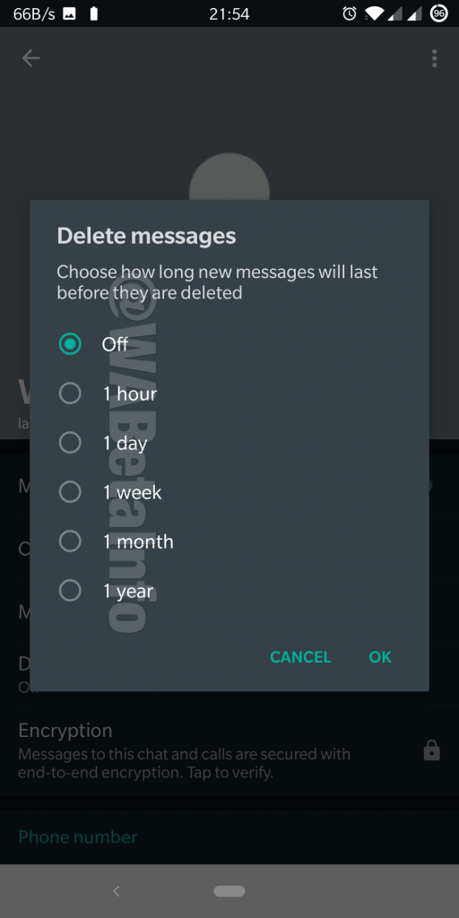 Delete Message Time2