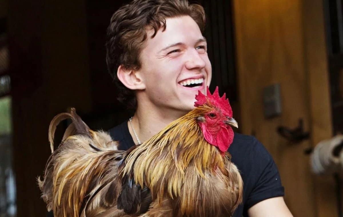 Tom Holland