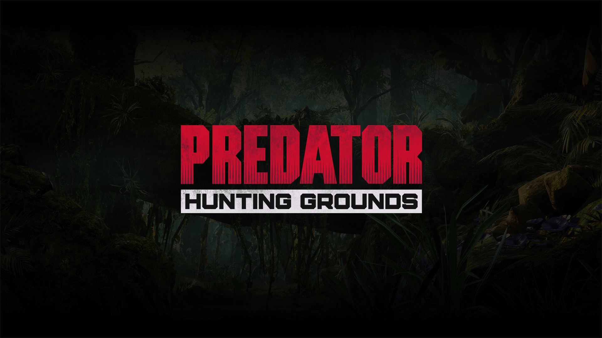 Predator Hunting Grounds