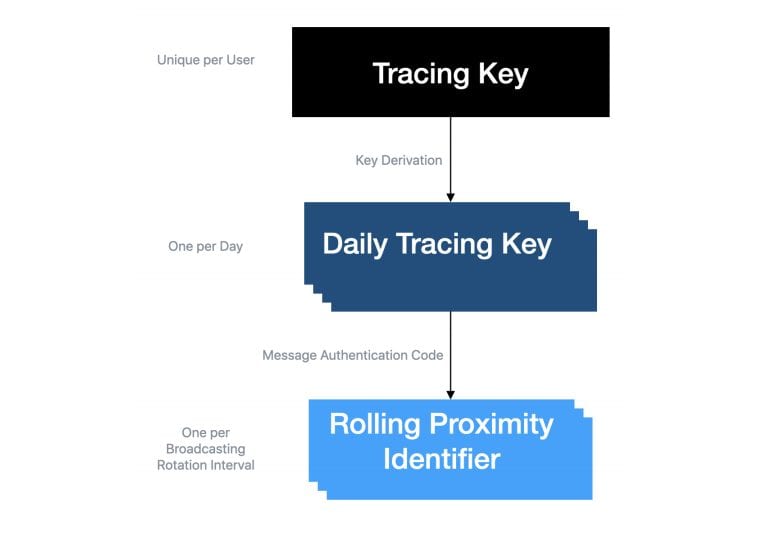 Le chiavi di tracciamento dei casi di COVID-19 con le app di tracking come Immuni, secondo Apple e Google