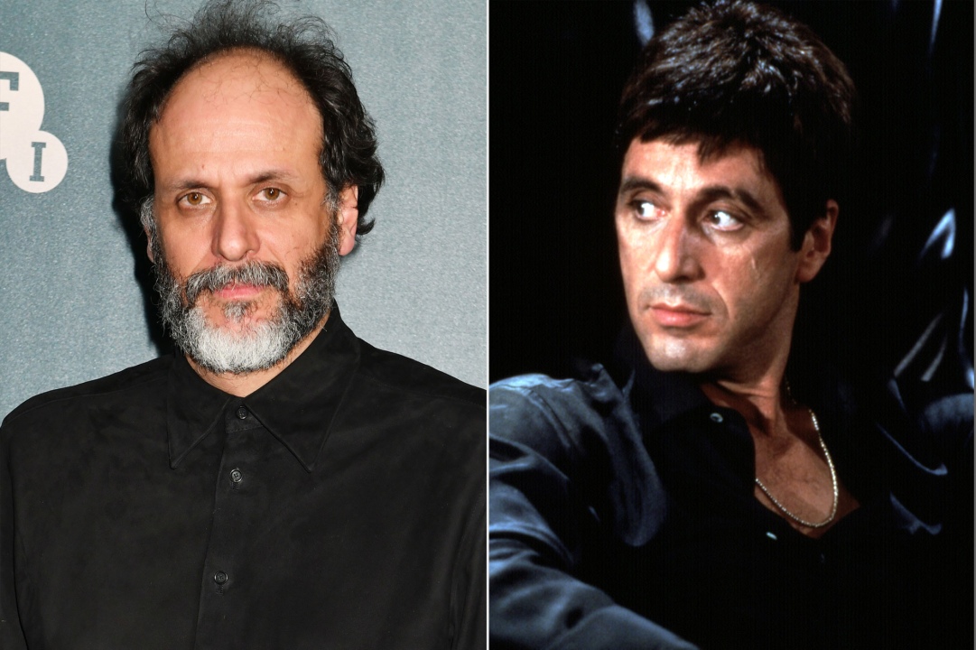 Luca Guadagnino Scarface