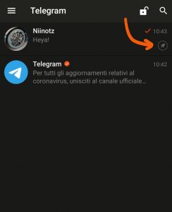 screenshot: fissa chat in cima Telegram_1