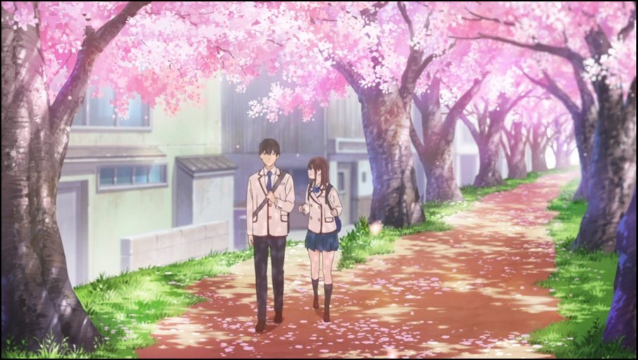 Sakura e Haruki passeggiano sotto i ciliegi in fiore