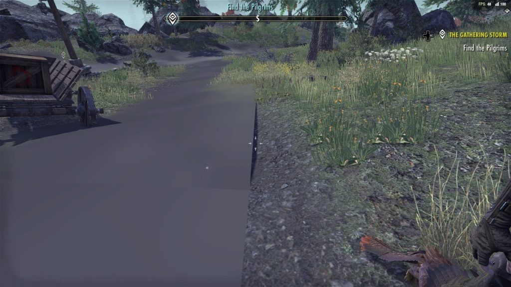 teso glitch