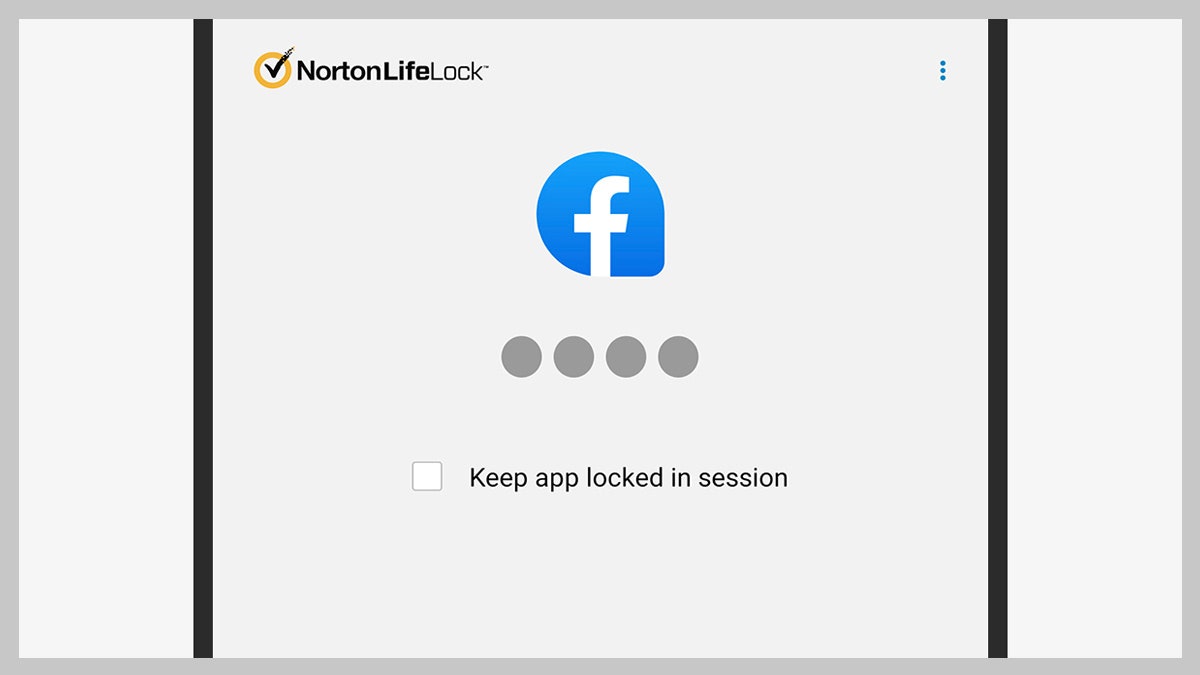 password norton