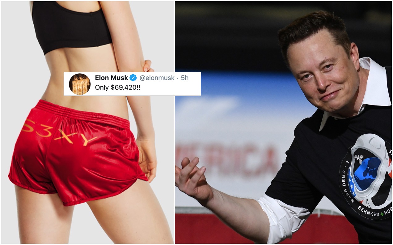 Elon Musk Tesla Shorts