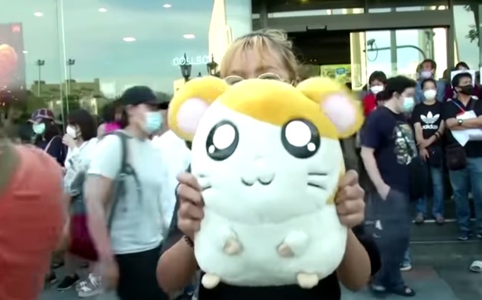 Una donna tiene Hamtaro in mano come se fosse uno scudo, a difesa del volto.