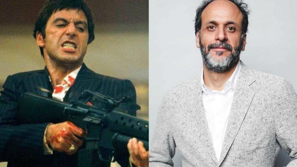 Scarface Guadagnino