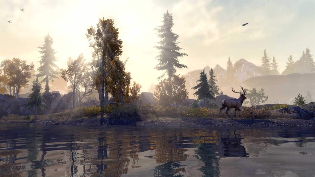 the elder scrolls online console enhanced 1 1