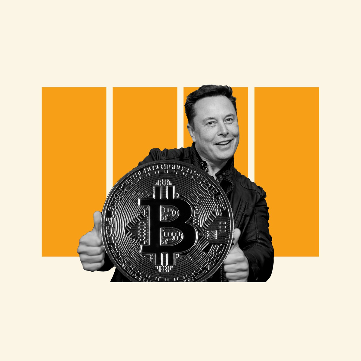 Elon Musk Twitter Truffa Bitcoin Criptovalute