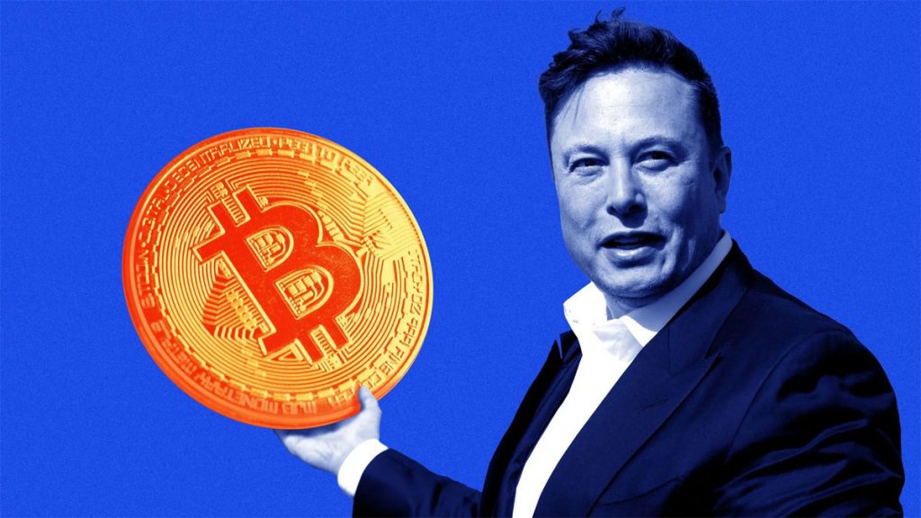 Elon Musk Twitter Truffa Bitcoin Criptovalute