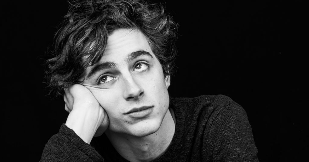 Timothée Chalamet sarà Willy Wonka in Wonka