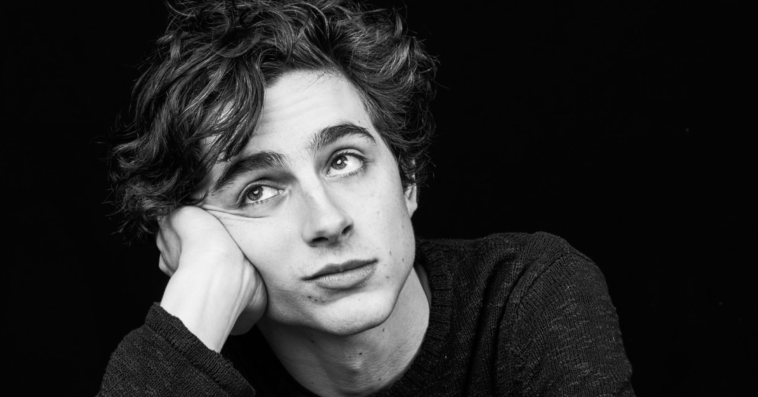 Timothée Chalamet sarà Willy Wonka in Wonka