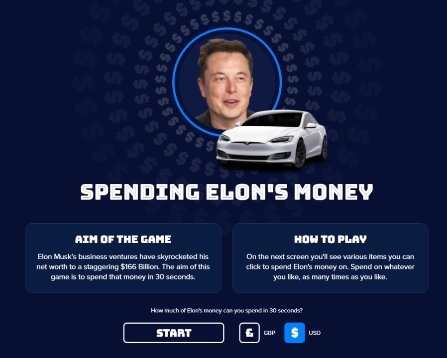 gioco elon musk schermata principale