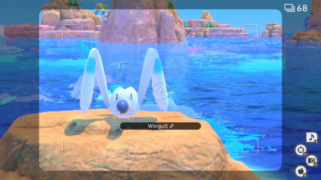 new pokemon snap wingull