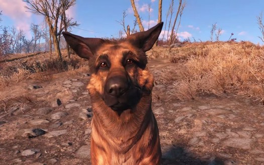 Fallout 4 dogmeat immagine