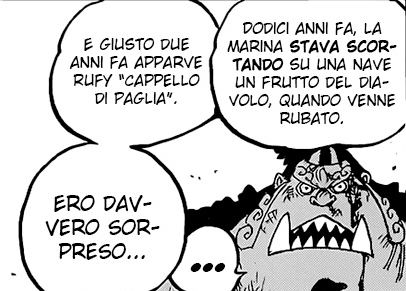 One Piece 1017