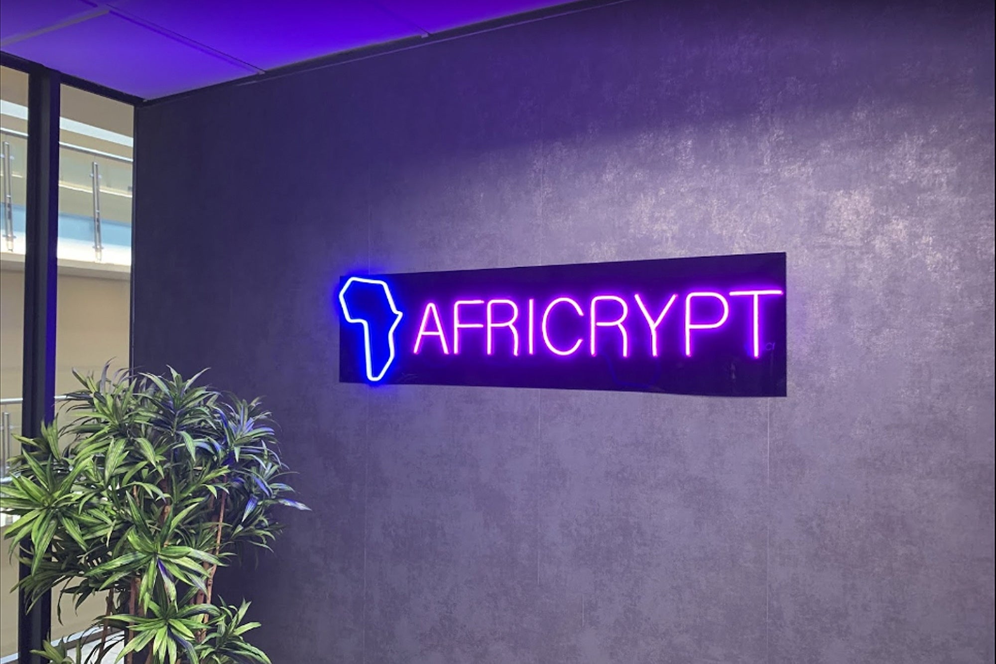 Africript furto più grande del mondo bitcoin