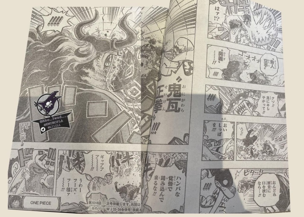 one piece 1018 spoiler 6