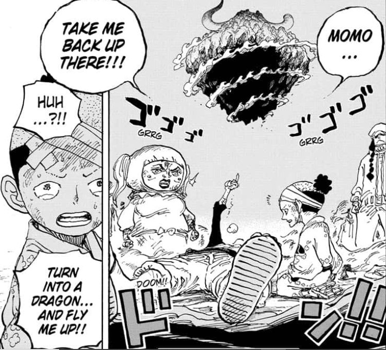 One Piece 1020, Luffy e Momonosuke