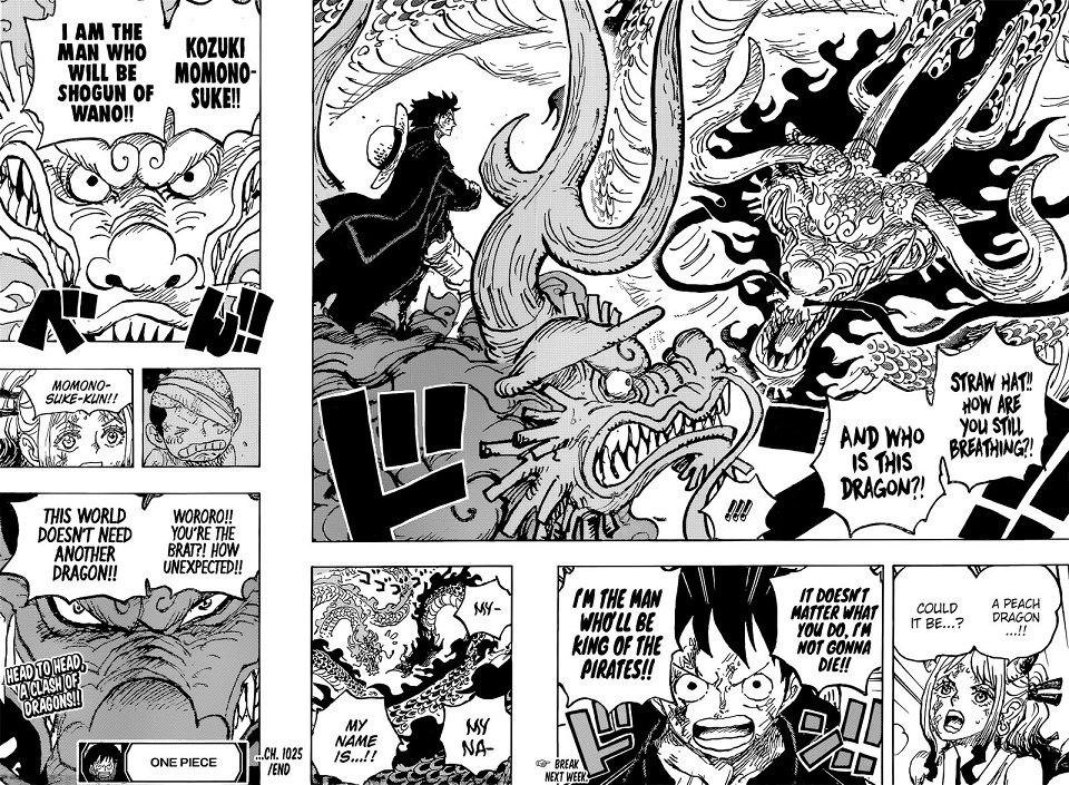 One Piece 1026 Spoiler  La rivalsa delle Bestie