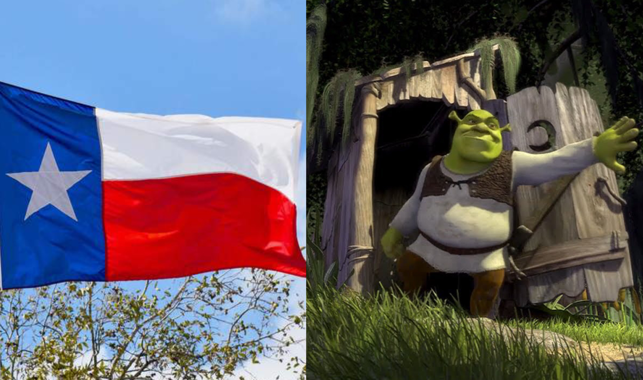 Shrek e Bandiera del Texas