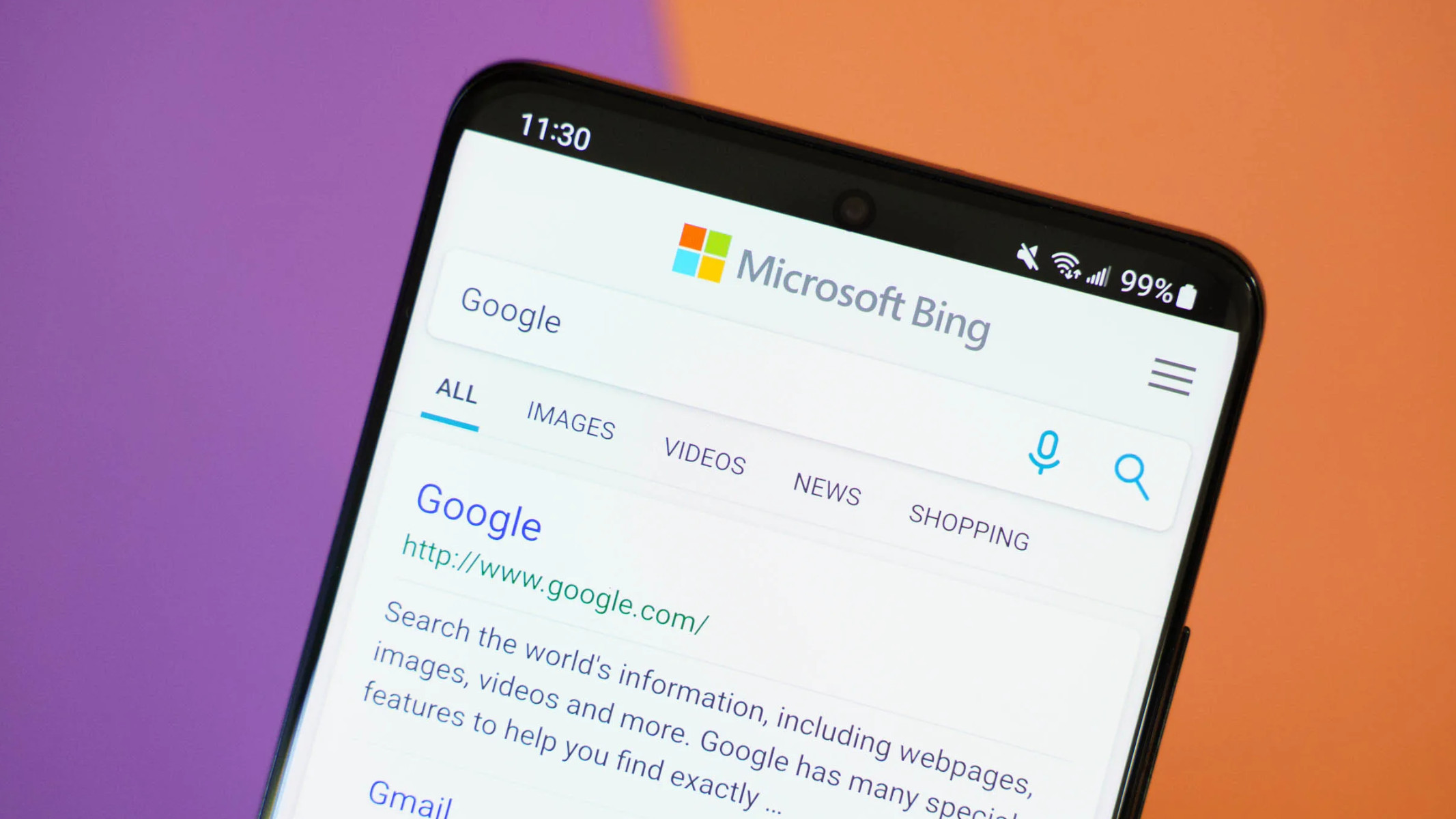 Bing Google parola più cercata