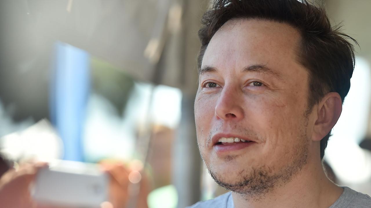 elon musk tits corpo 2