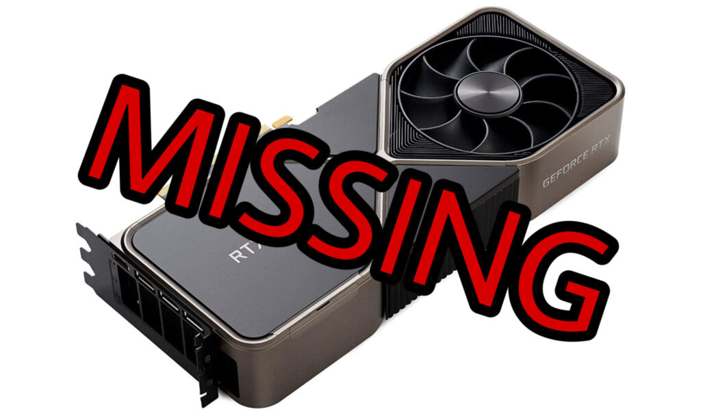 Nvidia 3090 missing Schede Video