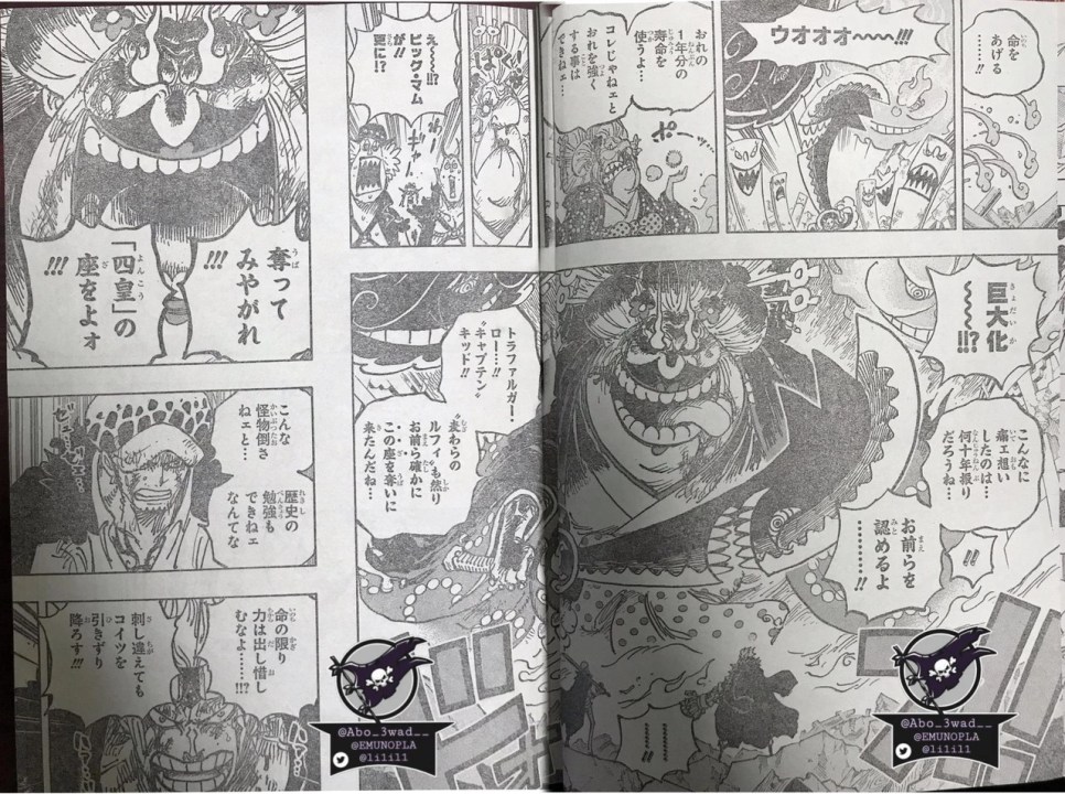 one piece 1031 spoiler big mom vs trafalgar law e eustass kid